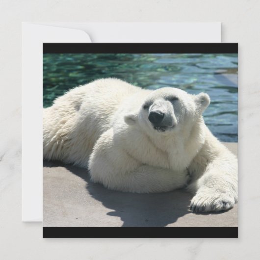 Arktische Eisbär-Einladung Einladung (Vorderseite)
