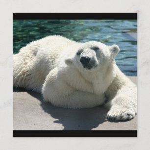 Arktische Eisbär-Einladung Einladung