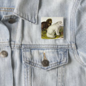 Arktische Focken (Weißfuchs, Polarfox, Schneefräse Button (Beispiel)