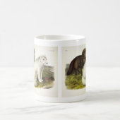 Arktische Focken (Weißfuchs, Polarfox, Schneefräse Kaffeetasse (Mittel)