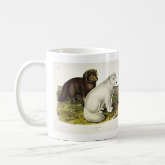 Arktische Focken (Weißfuchs, Polarfox, Schneefräse Kaffeetasse (Links)