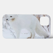 Arktische Fox Case-Mate iPhone Hülle (Rückseite (Horizontal))