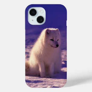 Arktische Fox Case-Mate iPhone Hülle