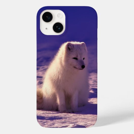 Arktische Fox Case-Mate iPhone Hülle (Rückseite)