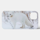 Arktische Fox Case-Mate iPhone Hülle (Rückseite (Horizontal))