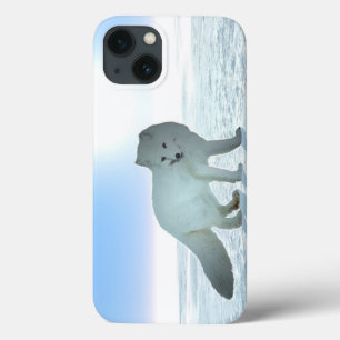 Arktische Fox iPhone 13 Hülle