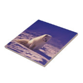 Arktische Fox Fliese (Seite)