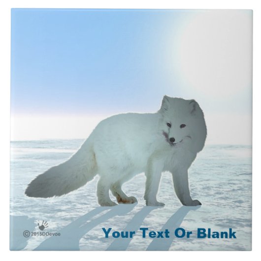 Arktische Fox Fliese (Vorderseite)