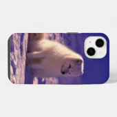 Arktische Fox iPhone Hülle (Rückseite (Horizontal))