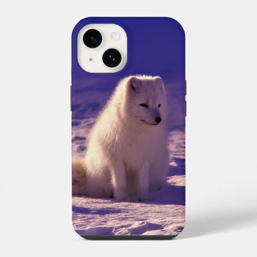 Arktische Fox iPhone Hülle (Rückseite)