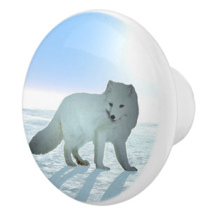 Arktische Fox Keramikknauf