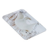 Arktische Fox Magnet (Rechte Seite)