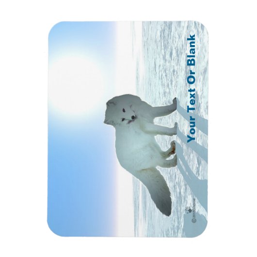 Arktische Fox Magnet (Vertikal)