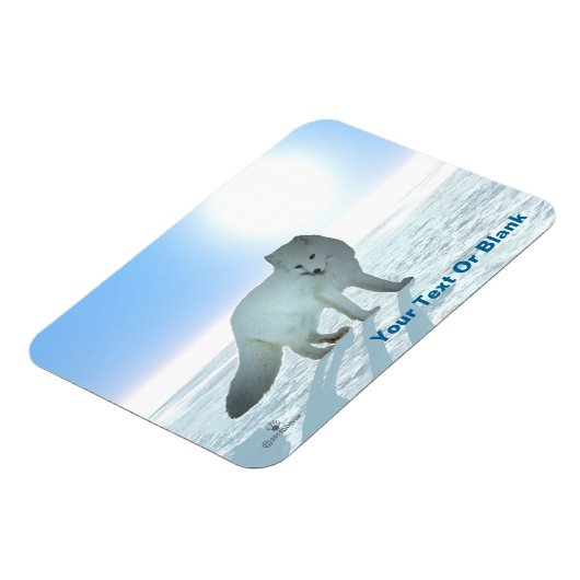 Arktische Fox Magnet (Linke Seite)