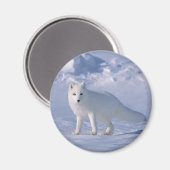 Arktische Fox Magnet (Vorderseite/Rückseite)
