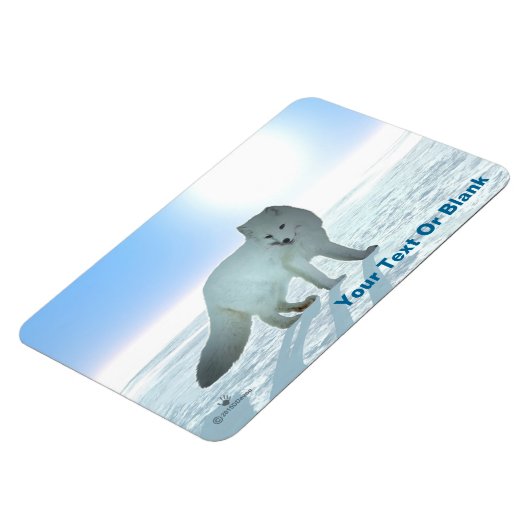 Arktische Fox Magnet (Linke Seite)