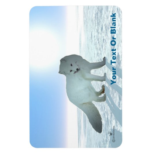 Arktische Fox Magnet (Vertikal)