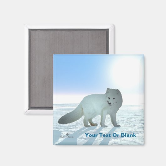 Arktische Fox Magnet (Vorderseite/Rückseite)