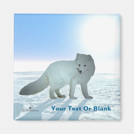 Arktische Fox Magnet (Vorne)