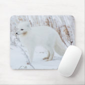 Arktische Fox Mousepad (Mit Mouse)
