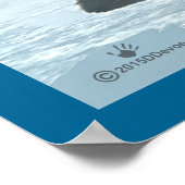 Arktische Fox Poster (Ecke)