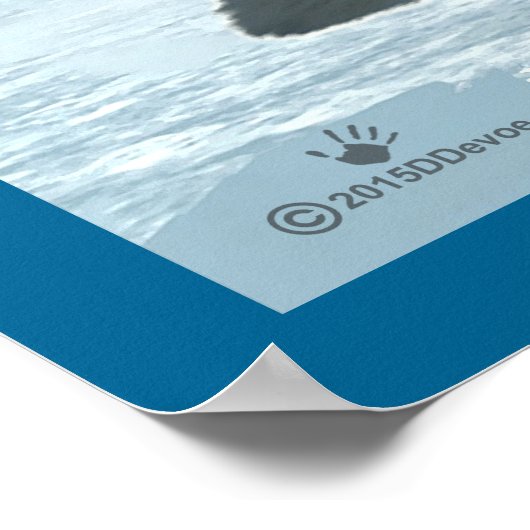 Arktische Fox Poster (Ecke)