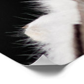 Arktische Fox Poster (Ecke)