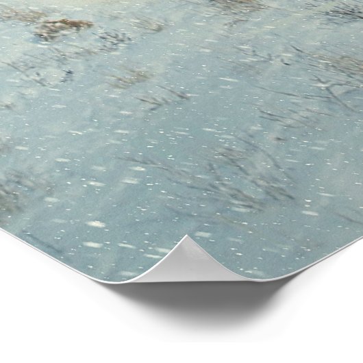 Arktische Fox Poster (Ecke)