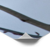 Arktische Fox Poster (Ecke)