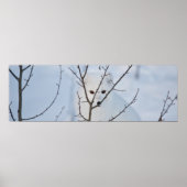 Arktische Fox Poster (Vorne)