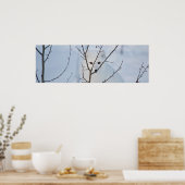 Arktische Fox Poster (Küche)