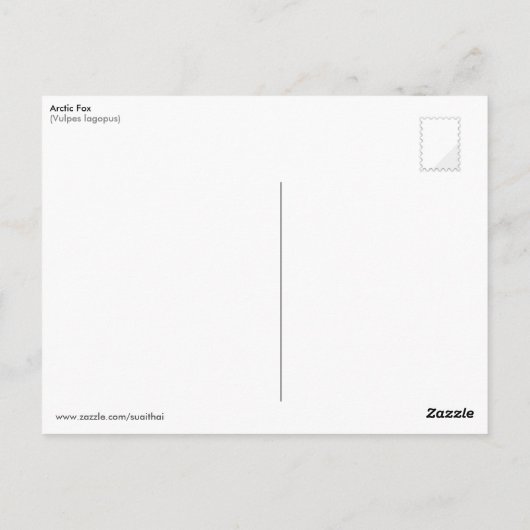 Arktische Fox Postkarte (Rückseite)
