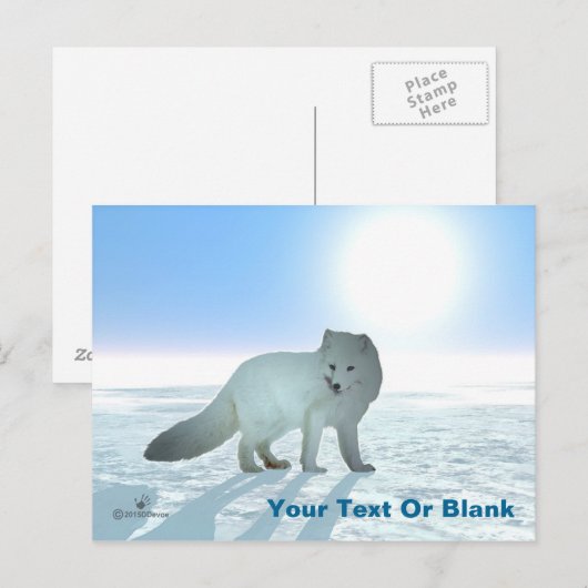 Arktische Fox Postkarte (Vorne/Hinten)