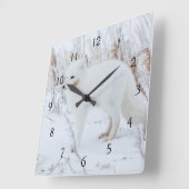 Arktische Fox Quadratische Wanduhr (Winkel)