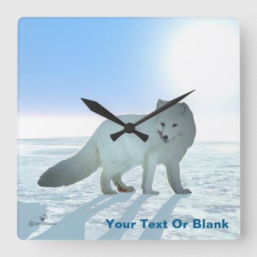 Arktische Fox Quadratische Wanduhr (Vorderseite)
