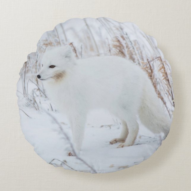 Arktische Fox Rundes Kissen (Vorderseite)
