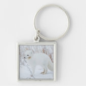 Arktische Fox Schlüsselanhänger (Vorne)