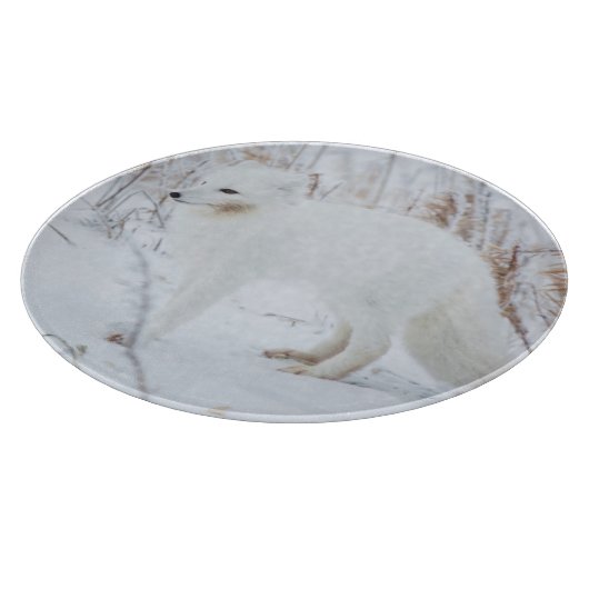 Arktische Fox Schneidebrett (Ecke)
