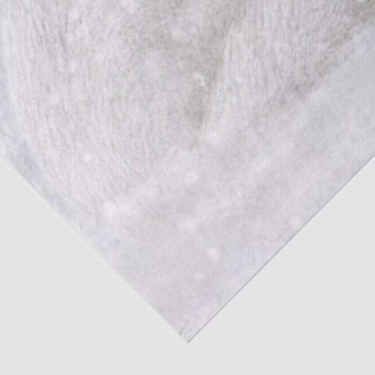 Arktische Fox Seidenpapier (Detail)