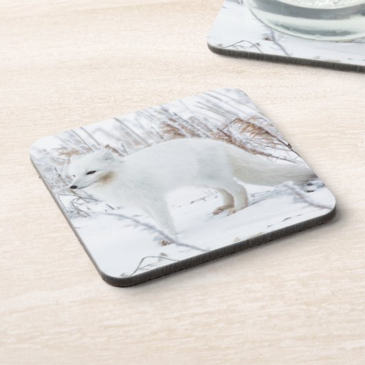 Arktische Fox Untersetzer (Linke Seite)