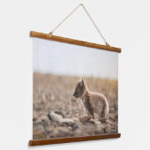 Arktische Fox Wandteppich Mit Holzrahmen (Gewinkelt)