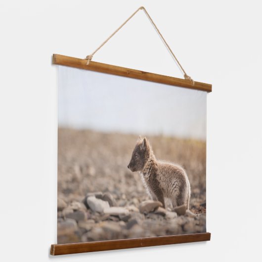 Arktische Fox Wandteppich Mit Holzrahmen (Gewinkelt)