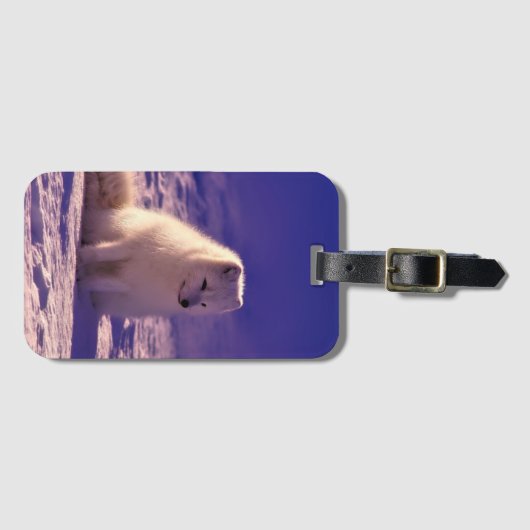 Arktische Fox Winterschneelandschaft Gepäckanhänger (Vorderseite (Horizontal))