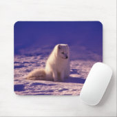 Arktische Fox Winterschneelandschaft Mousepad (Mit Mouse)