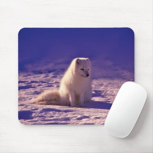 Arktische Fox Winterschneelandschaft Mousepad (Mit Mouse)