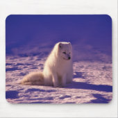 Arktische Fox Winterschneelandschaft Mousepad (Vorne)