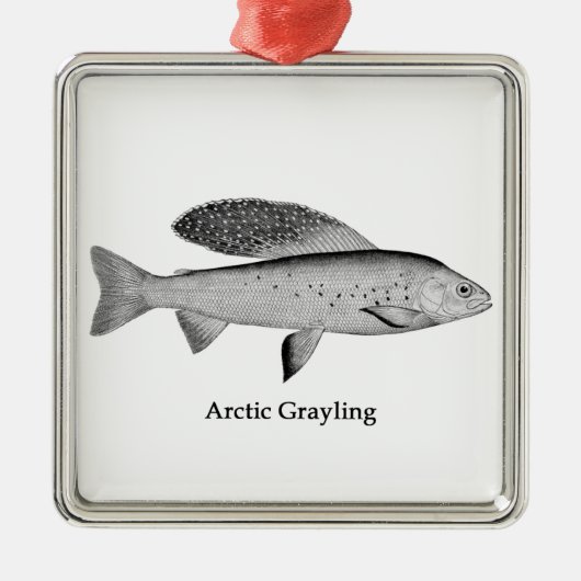 Arktische Grayling-Logo (Line Art) Ornament Aus Metall (Vorne)