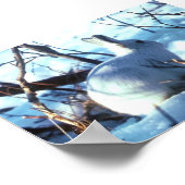 Arktische Hasen im Foto Poster (Ecke)