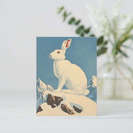 Arktische Hasen Vintag Postkarte (Stehend Vorderseite)
