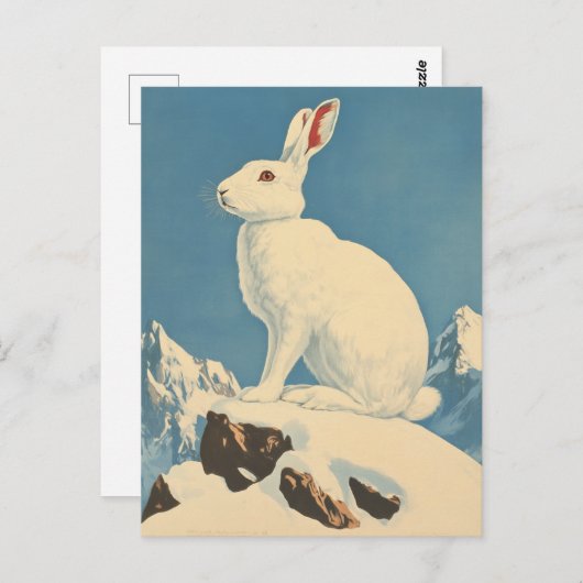Arktische Hasen Vintag Postkarte (Vorne/Hinten)